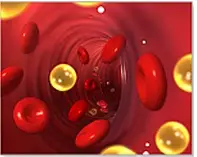 Cholesterol in blood vessels