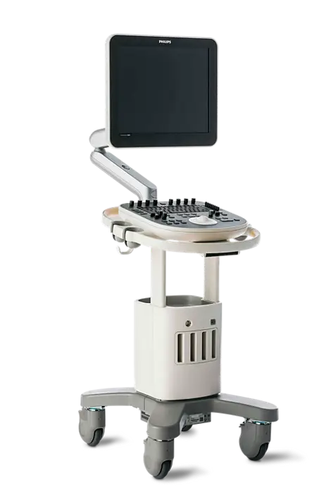 Ultrasound transvaginal and transabdominal